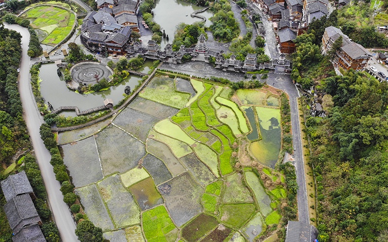 Zhaoxing Drone by Andrea Suriani Zhaoxing Drone by Andrea Suriani